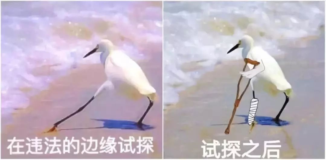 价格透明又良心,续航实在不坑人,这种“车”谁不想要?