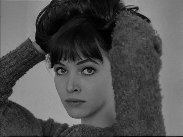 法国新浪潮和左岸派,法国新浪潮时期爱情电影