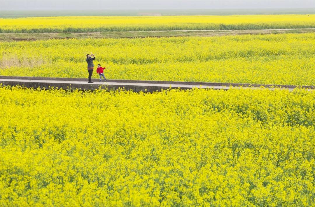 灌云有什么游玩的景点吗,灌云旅游景点推荐一日游