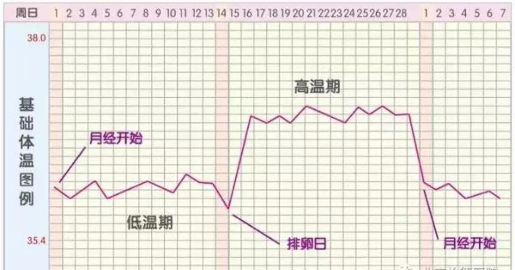 排卵期是什么时间怎么算,怎样计算排卵期一般排卵期是几天