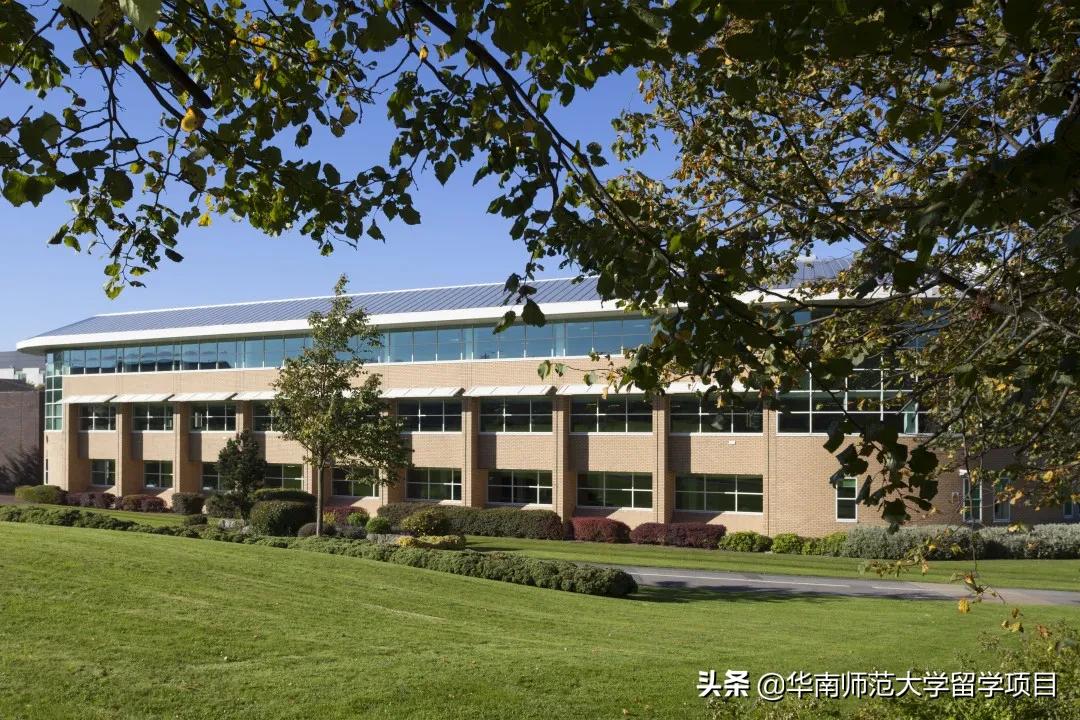 英国桑德兰大学介绍,英国桑德兰大学