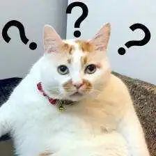 你老公会偷用你的化妆品吗?网友的回复炸天了！哈哈哈