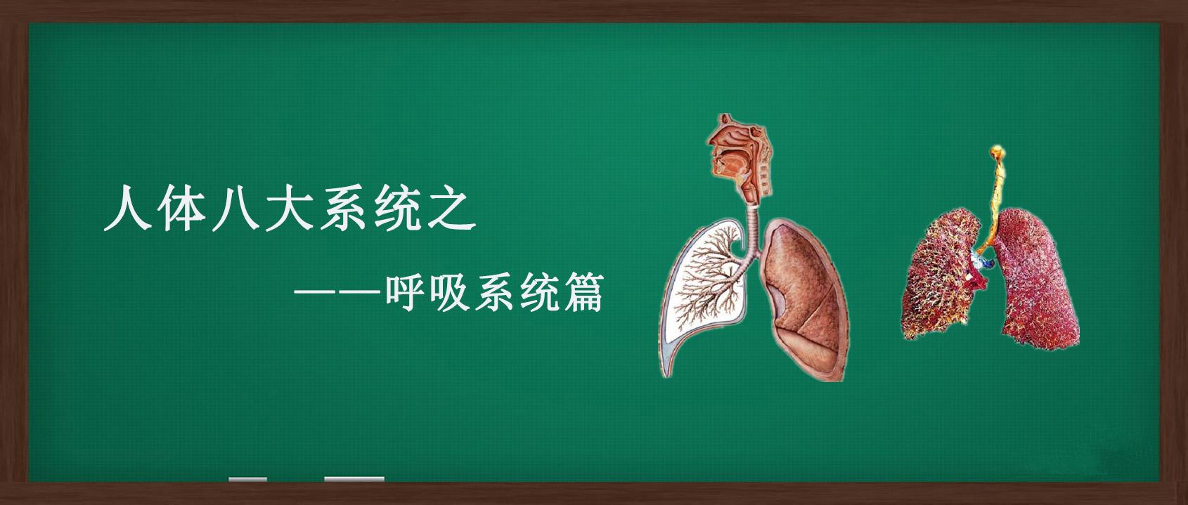 人体八大系统有哪些关键疾病,人体八大系统与用药关系