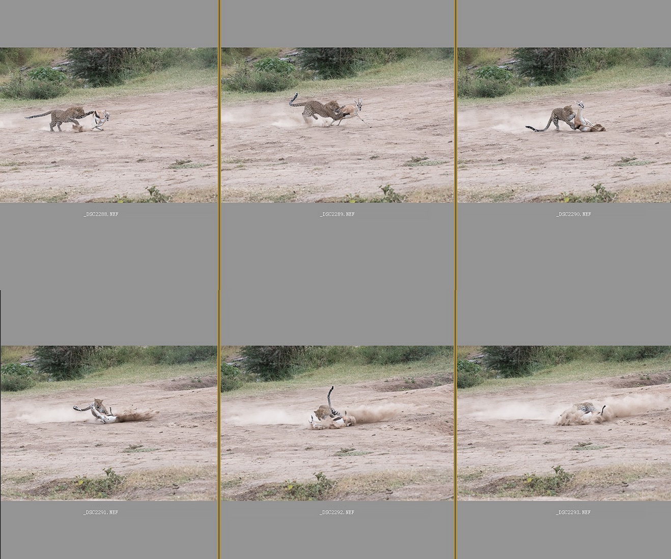 尼康nikond850拍摄视频,摄影器材篇尼康d850