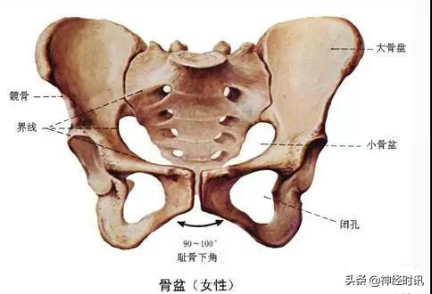 病理脚麻的最快恢复方法,脚麻诊断思路