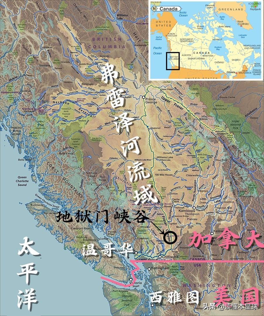 转基因鲑鱼,转基因大西洋鲑鱼