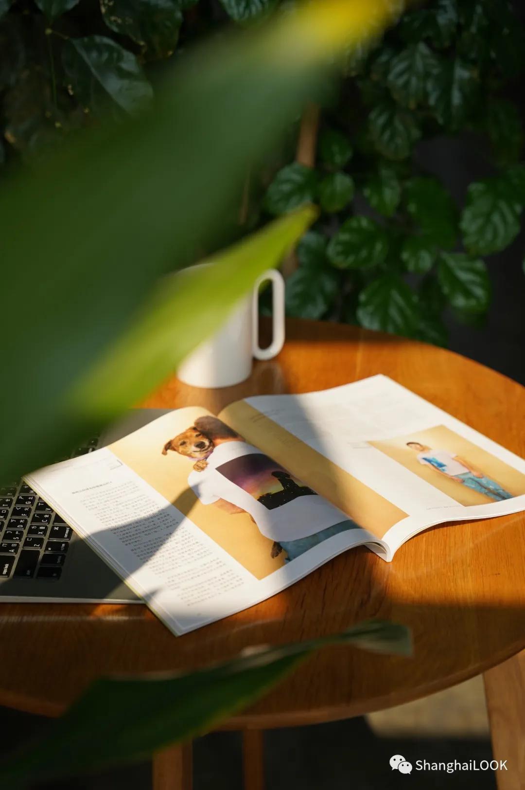 LOOK|优衣库「服适人生」・免费获取美学教科书