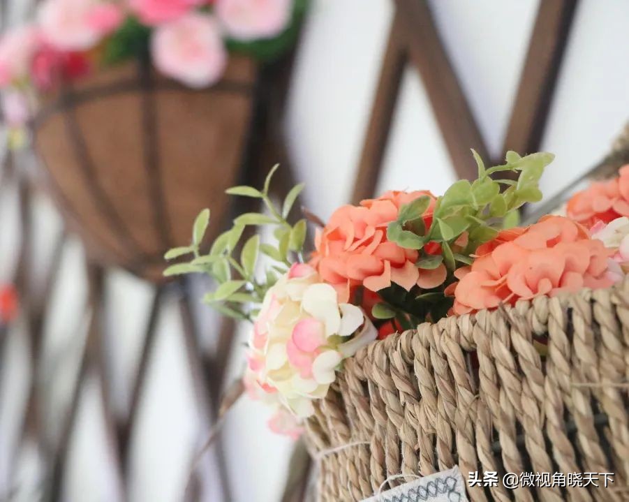 信阳市羊山外国语学区,羊山外国语小学信阳