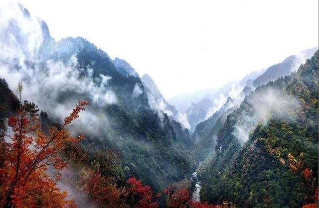 有哪些原始森林公园可以去玩,世界森林公园美景视频