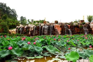 普洱旅游攻略必去景点路线,普洱哪些景点值得去看日出