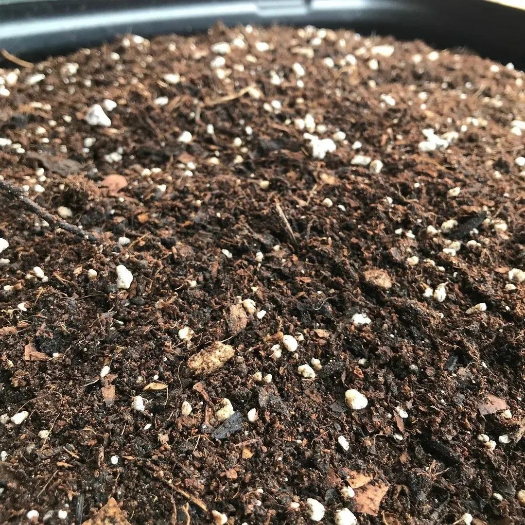 营养土养花专用植物土批发,砖土和营养土养花哪个好