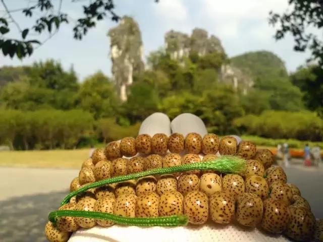 鸡爪骨文玩市场价格,最靠谱的文玩价格参考表赶紧收藏