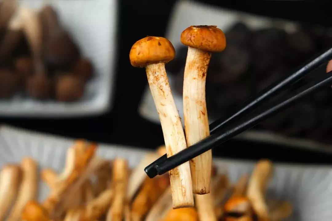 佛山盐步美食粤菜,南海盐步海鲜酒楼