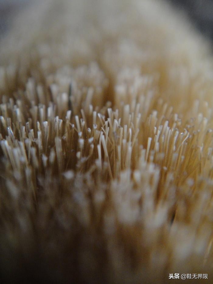 每双球鞋都值得被珍惜,最强球鞋清洁帖来了!拯救屎黄色鞋底把!