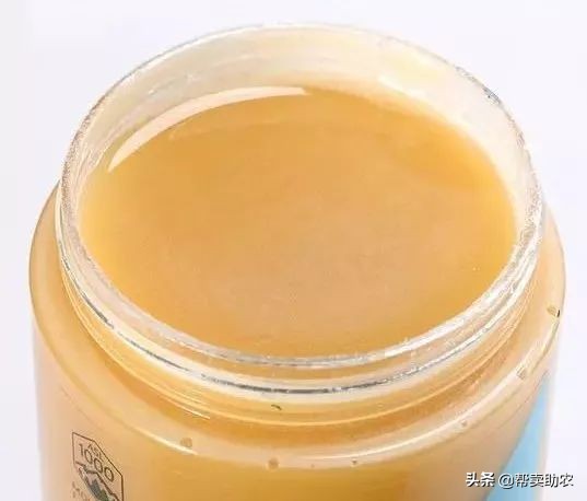 乾隆皇帝宠爱女人,乾隆皇帝宠爱七公主