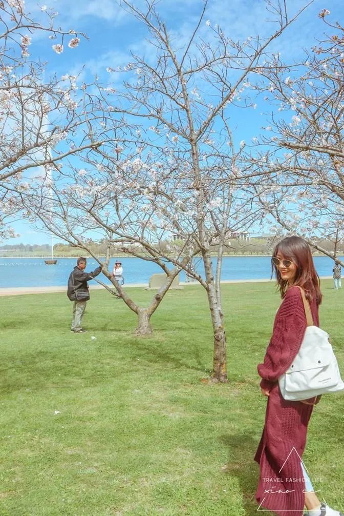 澳洲|春意堪培拉,看袋鼠、品酒、赏花、住进动物的家