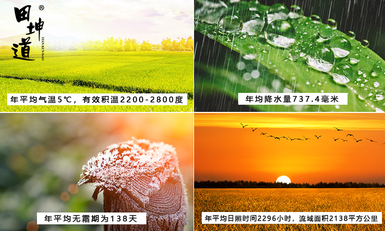 田坤道食品加盟,田坤道大米一斤多少钱