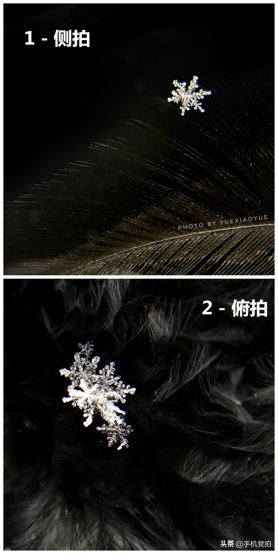 拍摄20倍雪花微距的教程,下雪天怎么拍出唯美视频