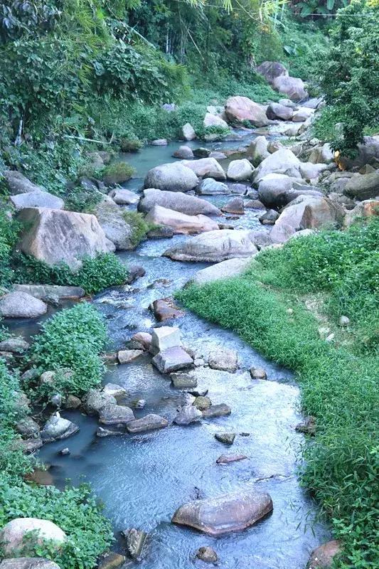 五一从化一日游,从化五一三天两晚游玩攻略