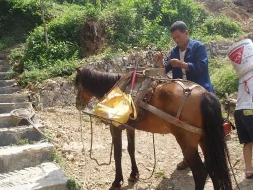 详解三国时期岭南地区的地缘结构