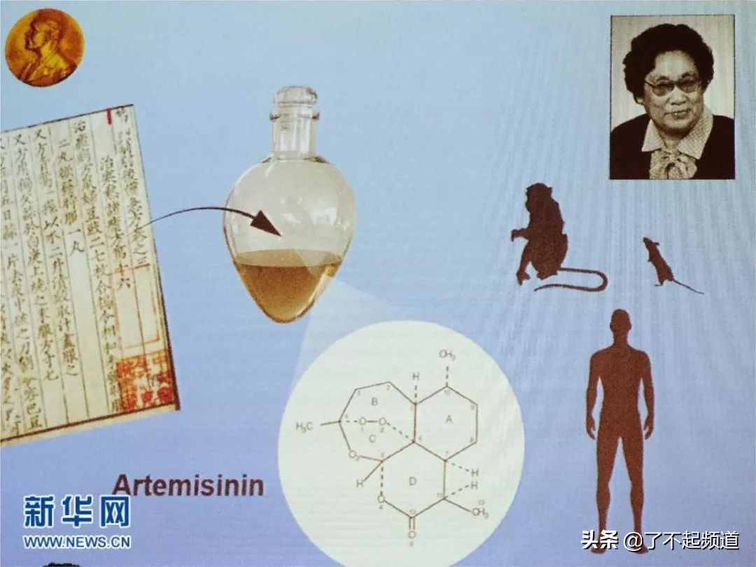 三无科学家获得诺贝尔奖,中国科学家获诺贝尔奖