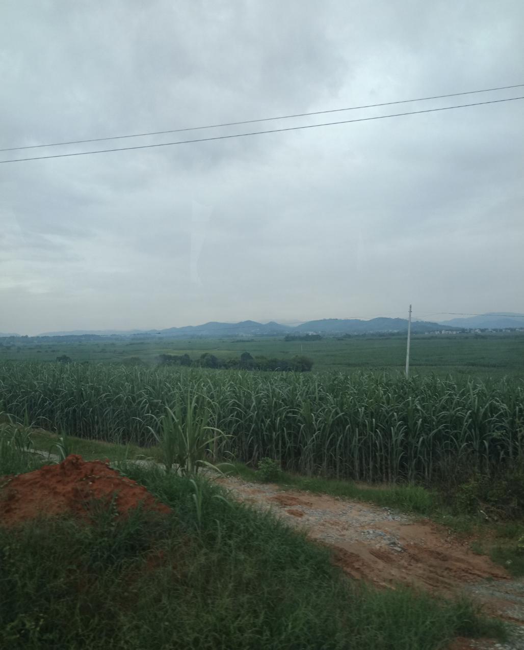 1岁零8个月女童之死:母亲怀孕4月父亲出轨,与父亲及情人在一起时“出事”,新鉴定“符合虐待和*力暴**所致”