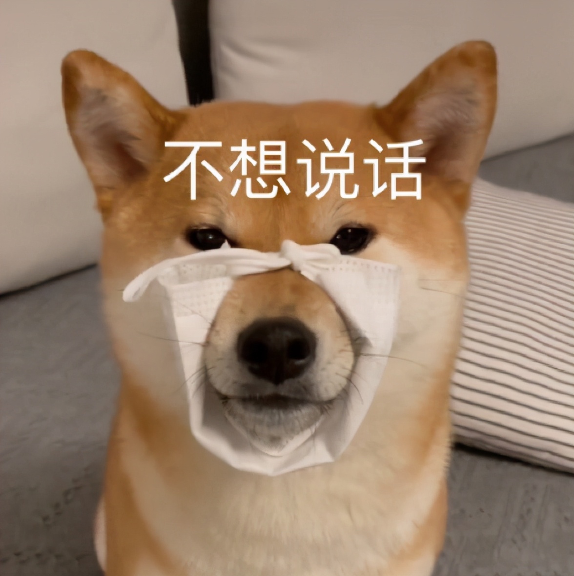 夏天干皮可以用控油的吗,一到夏天容易出油皮肤暗黄