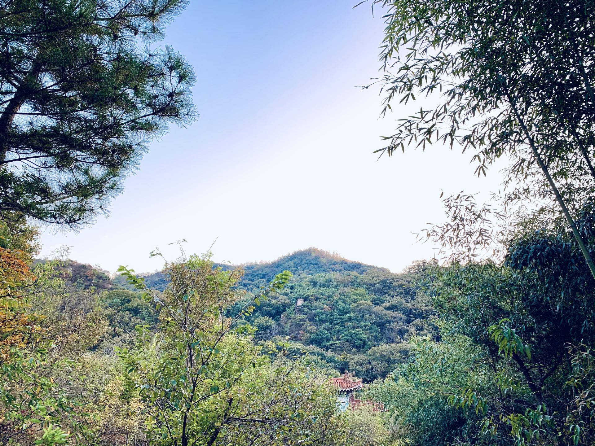 有山有水民宿原生态旅游,有山有水有云民宿名字