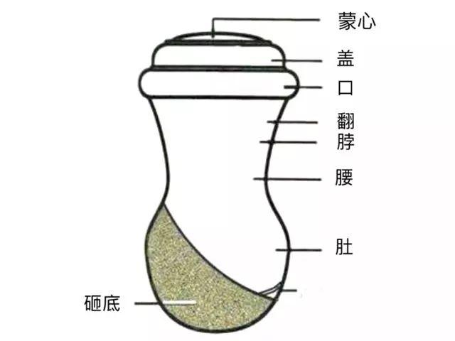 百艺杂谈，教你鸣虫界的八句“黑话”