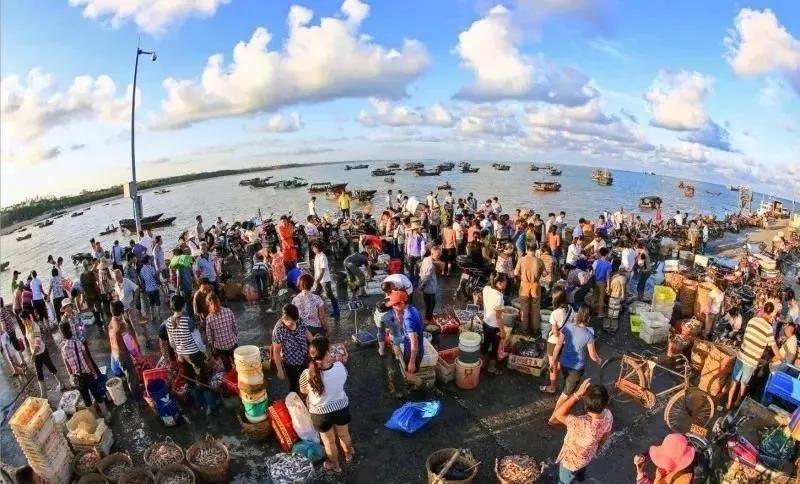 7月份的湛江海边有什么海鲜,湛江开海哪里海鲜便宜