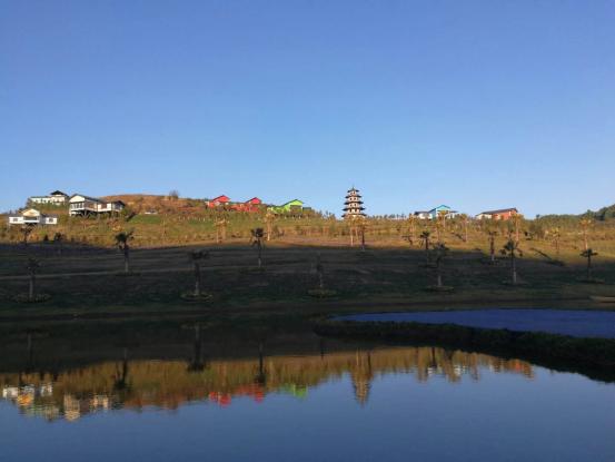 鍏嬩緷榛戠伀鎶婅妭绡濈伀鏅氫細,鍏嬩緷榛戠伀鎶婅妭鐜板満鐩存挱