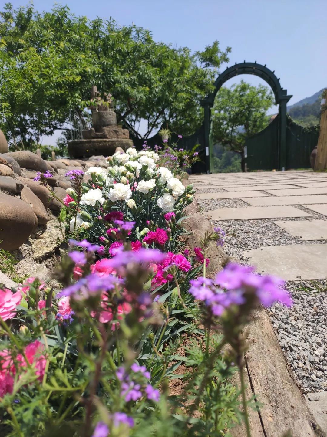 重庆疫情去哪旅游合适些,重庆疫情2020适合去旅游吗