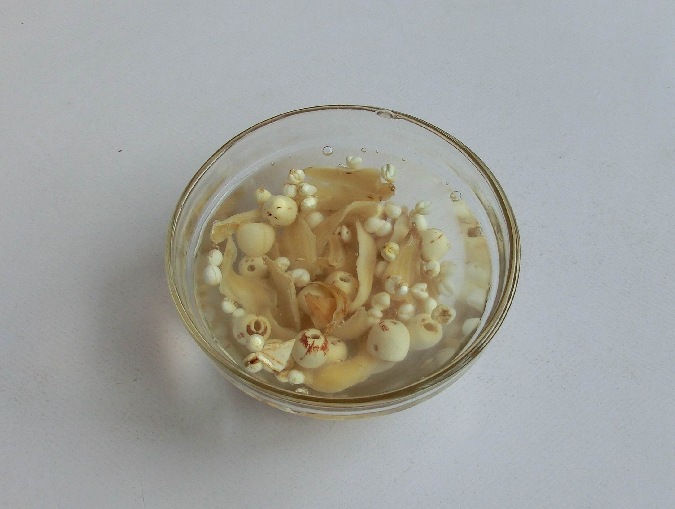 嗓子干痒止咳最快的小妙招,嗓子干痒如何止咳