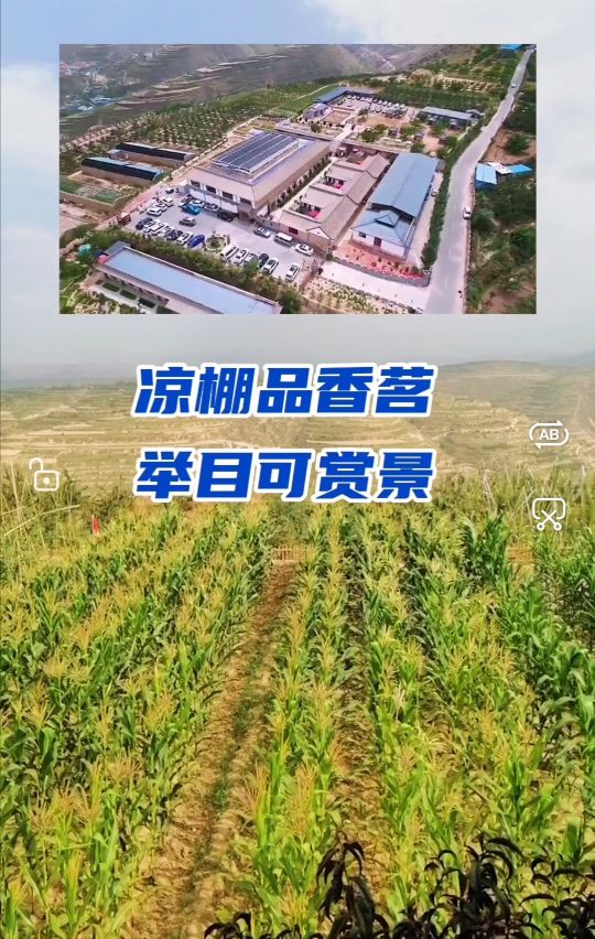 西固公园生态园,兰州周边生态园推荐