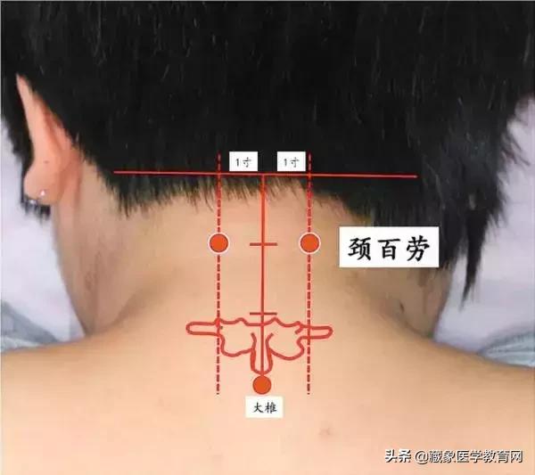 健康管理师需要哪些技巧,健康管理师基础知识100条