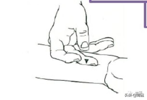 老中医讲胆,中医名家谈胆