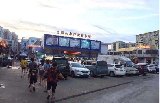 十大水产冻品批发市场,全国十大水产冻品交易市场