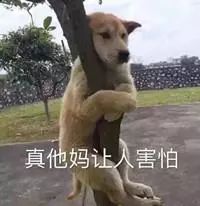 别再被这些伪国货骗了,别再被假代购坑了