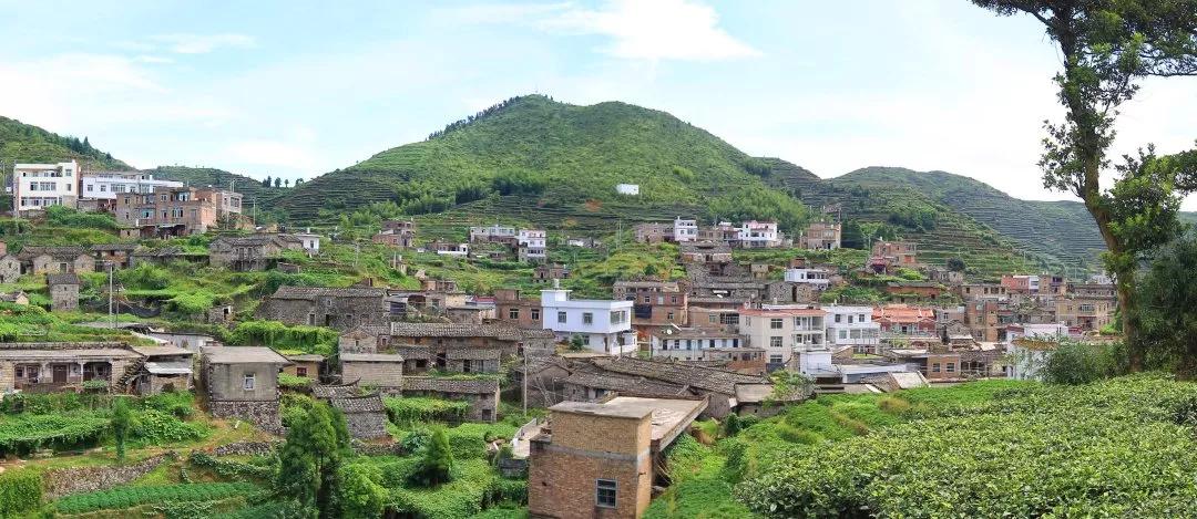 厦门同安周末踏青好去处,厦门岛内踏青景点大全