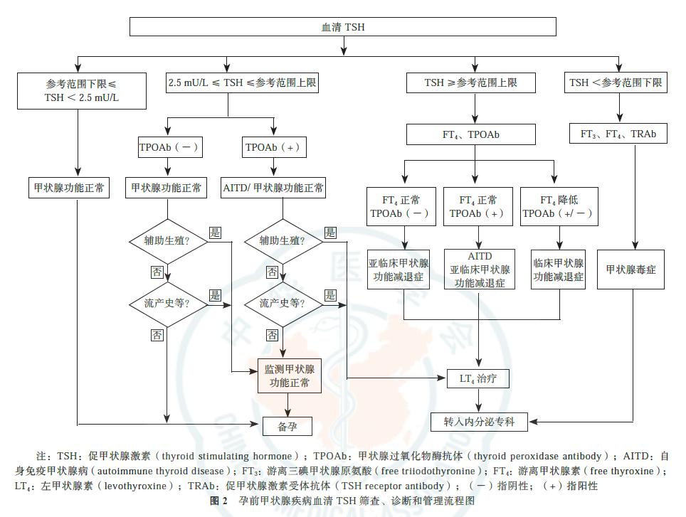 怀孕甲功筛查需要做几次,甲功筛查