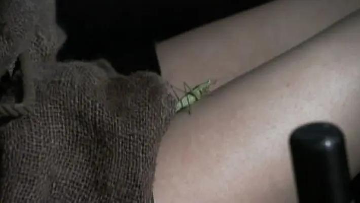 日本女子上身套纸箱子,日本女人悲惨命运的电影