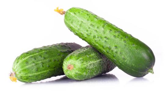 肚子为什么叫得很响,肚子为什么一直叫个不停