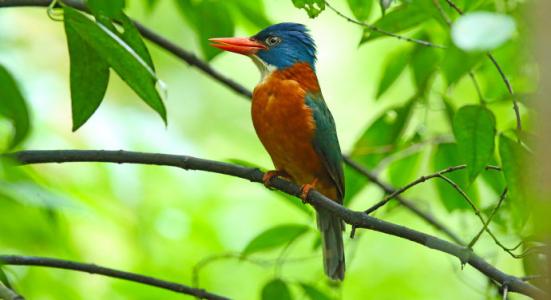 从零开始学翡翠的书,从零开始学翡翠