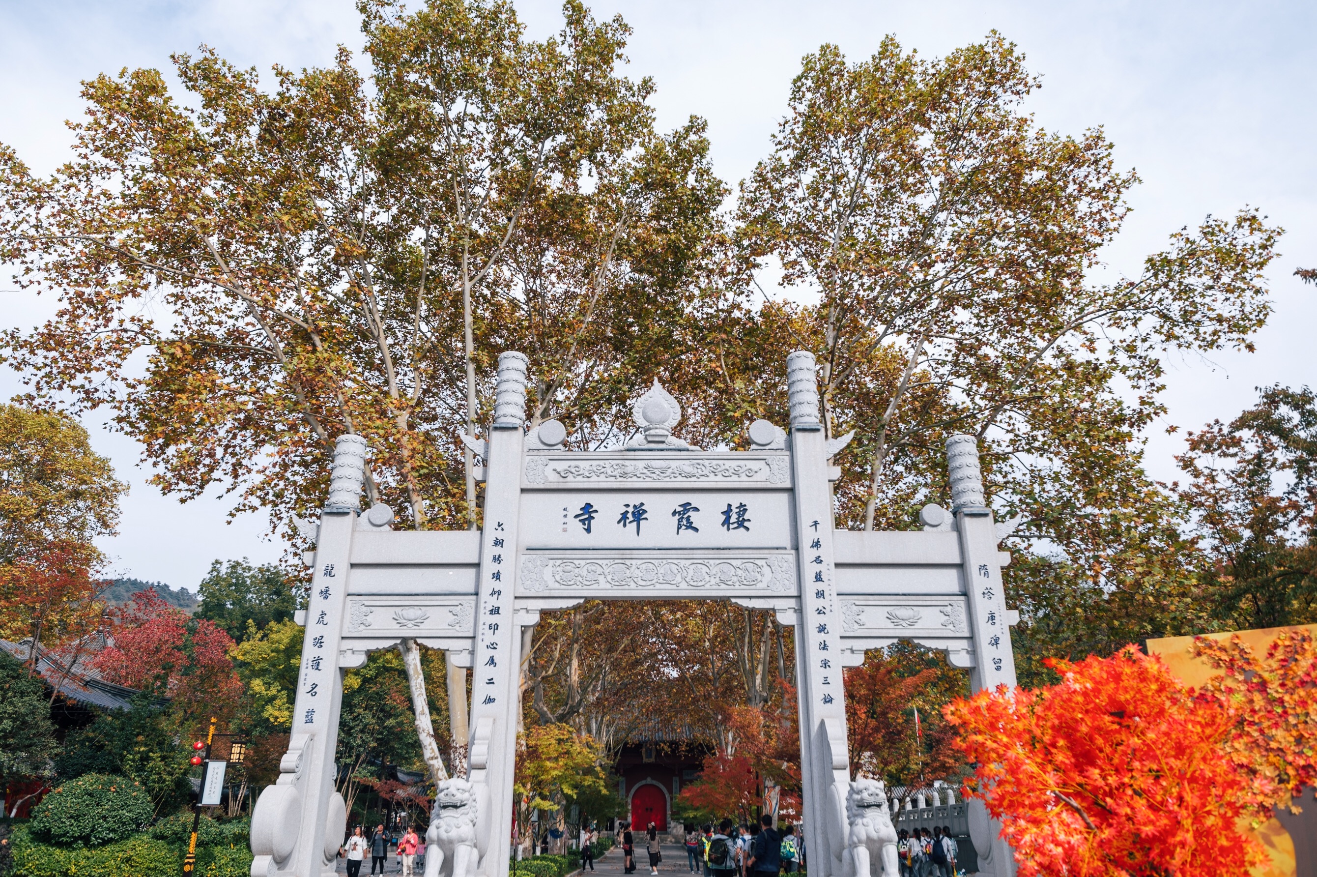 中国四大赏枫胜地南京栖霞山,南京栖霞山进入旅游赏枫季