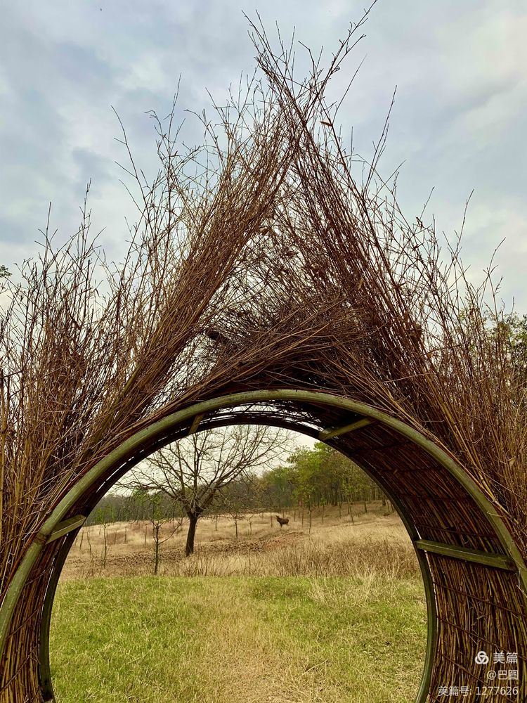 洛阳市宜阳凤凰岭射箭,宜阳县凤凰岭体育基地