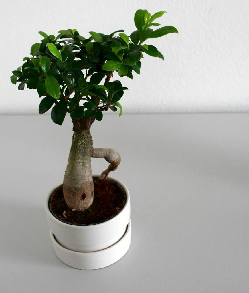 315权益日曝光的事件,315权益日