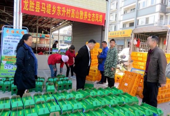龙胜凤鸡竟“飞”入海鲜市场，“高规格”背后大有文章