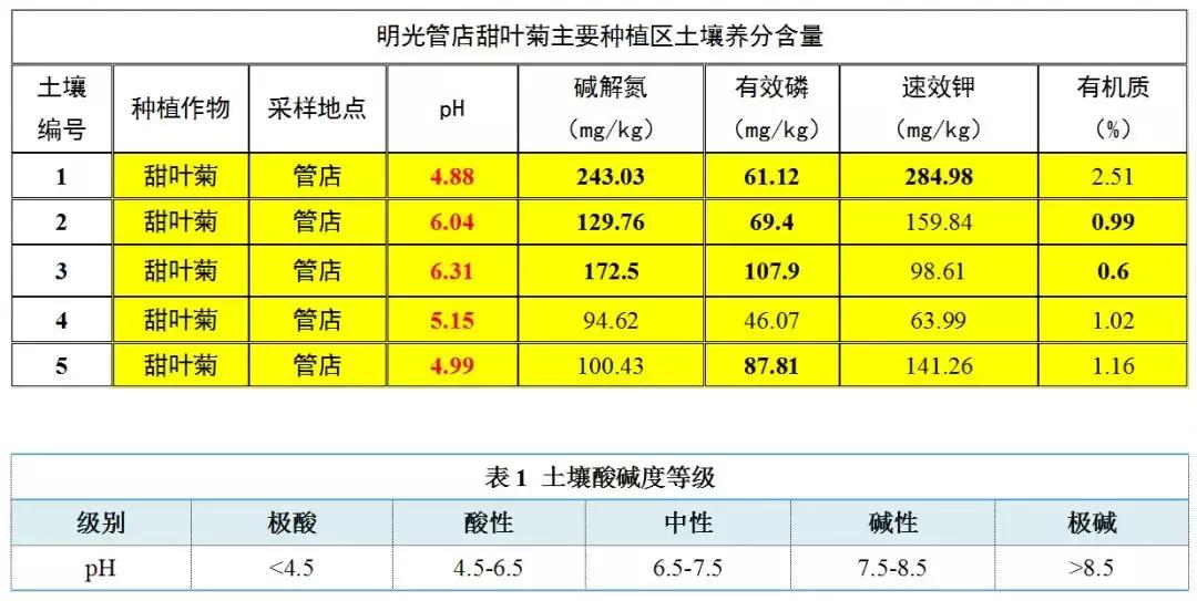 【金甜菊】：一株甜叶菊的生死之战