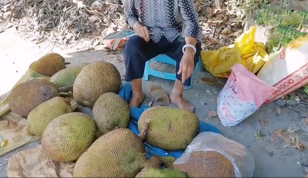 湛江菠萝蜜今年卖不起价,最低才几毛一斤,有没办法帮帮果农?