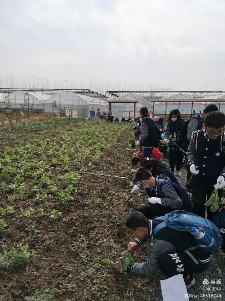 体耕读文化彰劳动之美——记合肥三十九中劳动研学活动